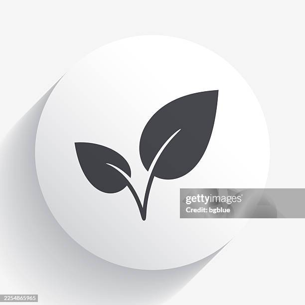 leaves. icon on circle button with long shadow - tea leaf white background stock illustrations