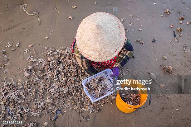 vietnamese woman sorting fresh catch, mui ne - sorting hat stock pictures, royalty-free photos & images