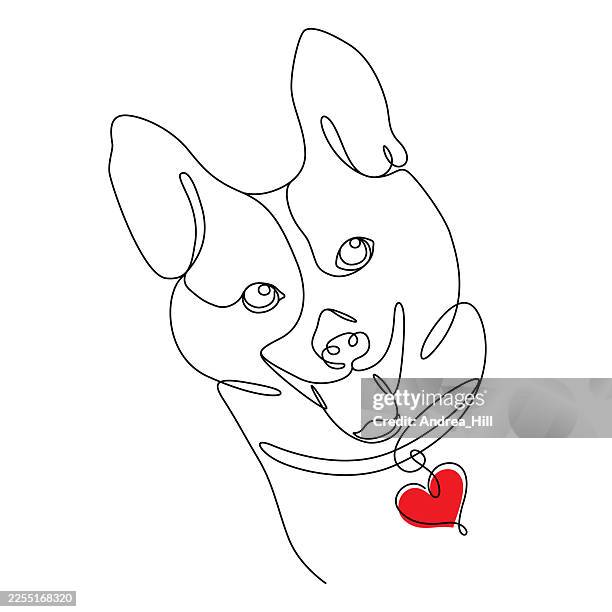 cute corgi face continuous line drawing with red heart - single line drawing dog stock illustrations