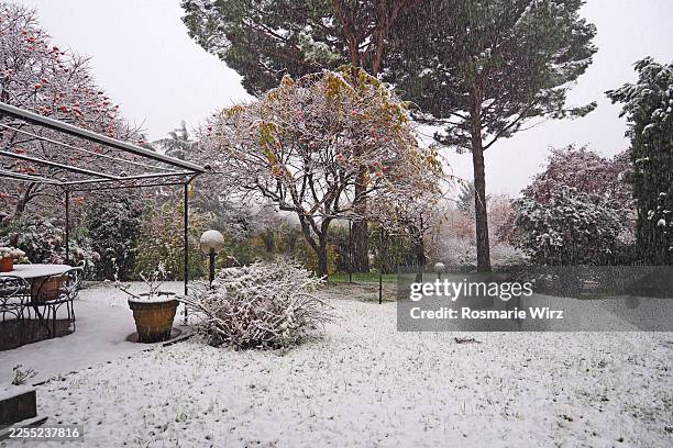 patio with table in winter, snow-covered trees - natures window stock pictures, royalty-free photos & images