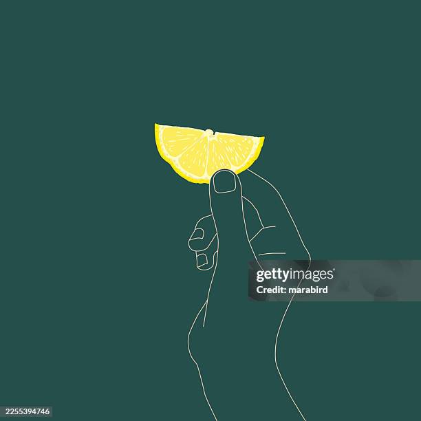 lemon slice minimal still life - lemon slice isolated stock illustrations
