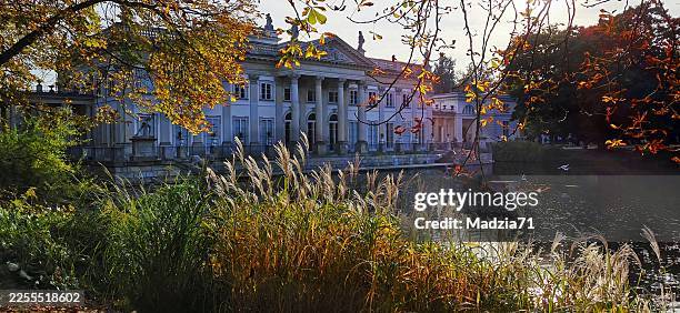łazienki-park in warschau - englischer garten stock-fotos und bilder