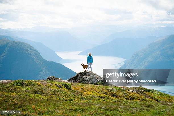 woman and dog overlooking fjord landscape from mountain top - noorse cultuur stockfoto's en -beelden