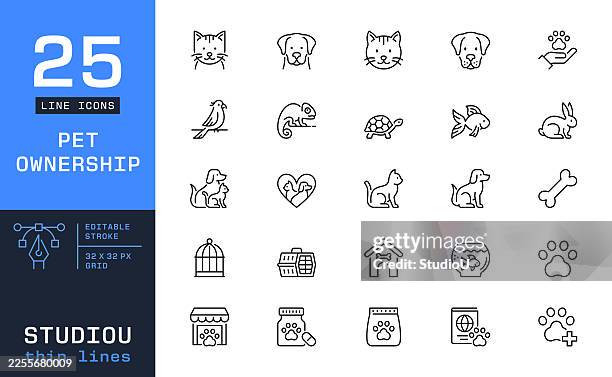 ilustrações, clipart, desenhos animados e ícones de ícones da linha de posse de animais de estimação e cuidados com animais domésticos. medicina veterinária, suprimentos para pets e símbolos de espécies de animais domésticos - loja de animais de estimação