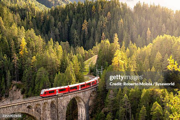 red train on wiesen viaduct at autumn sunset - cantão de graubunden - fotografias e filmes do acervo