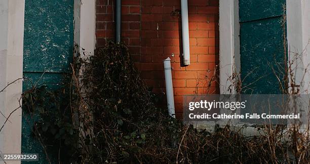 a broken white plastic pipe on a derelict brick residential building, spot lit by low sun - plumber crack stock pictures, royalty-free photos & images