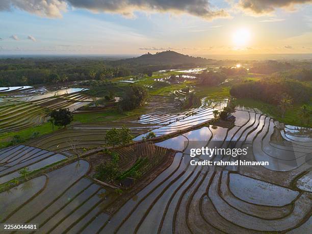 Bali rice terraces aerial view