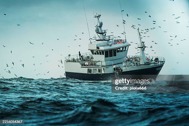 fishing vessel at sea surrounded by seabirds - fishing boat stock pictures, royalty-free photos & images