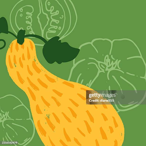 abstract style squash harvest on a colorful background - local produce stock illustrations