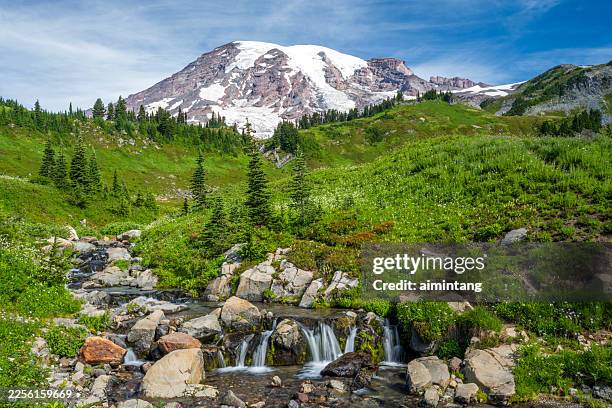 upstream of myrtle falls - mt rainier stock pictures, royalty-free photos & images