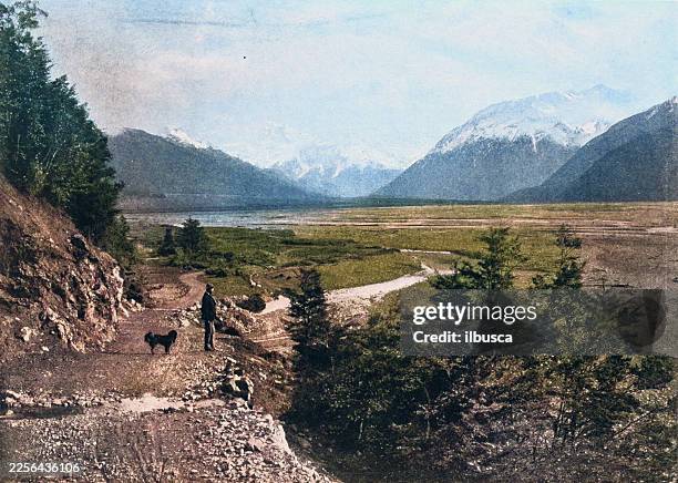 bealey, new zealand - observation deck stock illustrations