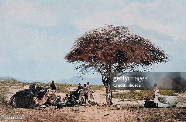 somalia - somalia stock illustrations