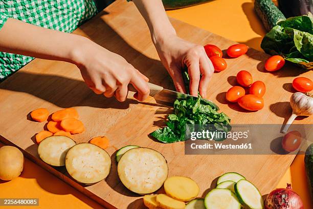 woman chopping fresh vegetables for healthy salad in kitchen - chopping garlic stock pictures, royalty-free photos & images