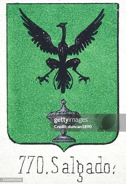 medieval heraldry, coat of arms, shield with, black, eagle, spread wings, silver, chalice, green, spanish, vintage illustration - chalice drawing stock illustrations