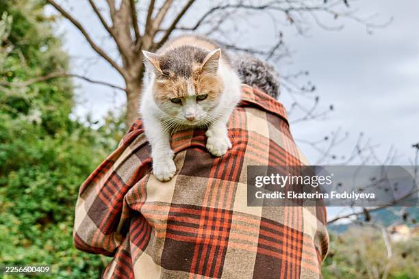 mature man walking with cat on his shoulder in the garden - emotional support animal stock pictures, royalty-free photos & images