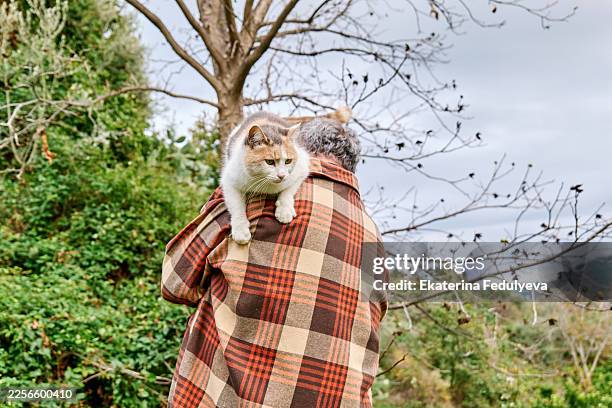mature man walking with cat on his shoulder in the garden - emotional support animal stock pictures, royalty-free photos & images