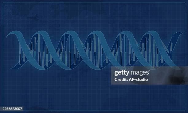 ilustraciones, imágenes clip art, dibujos animados e iconos de stock de plano científico de la hélice de adn en fondo de red azul deteriorada - código del genoma humano