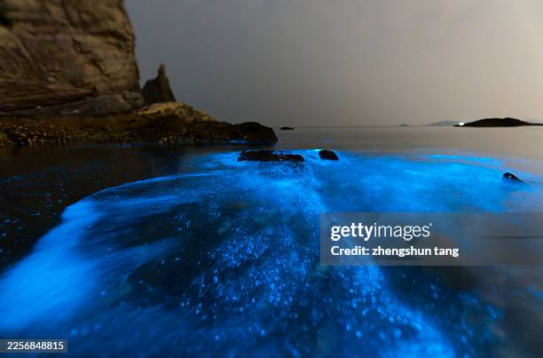 bioluminescent shoreline beneath the cliff - glowing plankton stock pictures, royalty-free photos & images