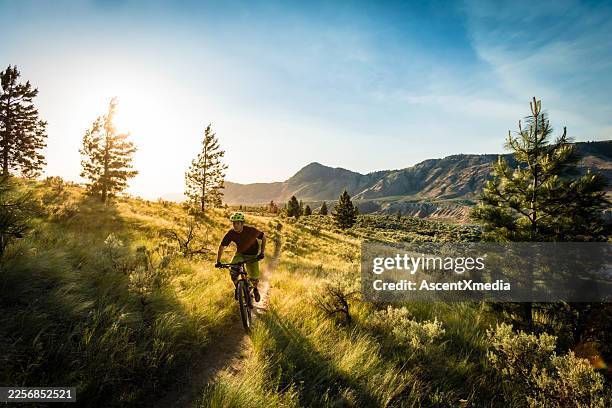 backlit view of mountain biker on grassy trail, kamloops - mountain biking stock pictures, royalty-free photos & images