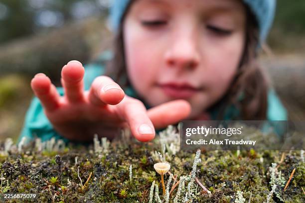 exploring nature - devil girl stock pictures, royalty-free photos & images