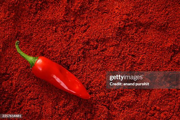 chili pepper powder or cayenne pepper powder - paprika stock pictures, royalty-free photos & images