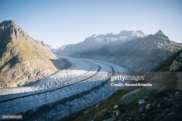 aerial view of aletsch glacier in summer - aletsch glacier stock pictures, royalty-free photos & images