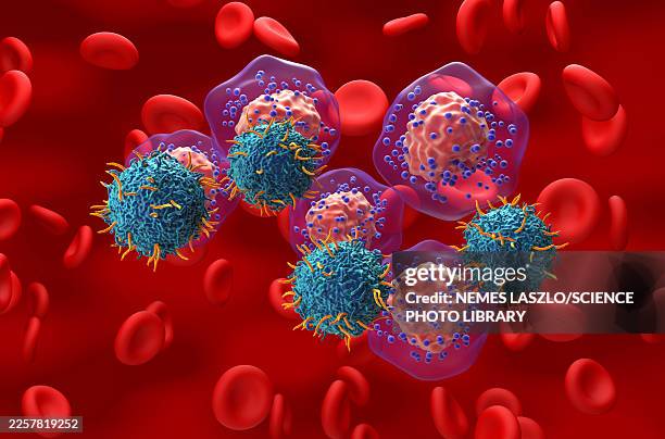 car-t cell therapy in triple-negative breast cancer, illustration - estrogen stock illustrations