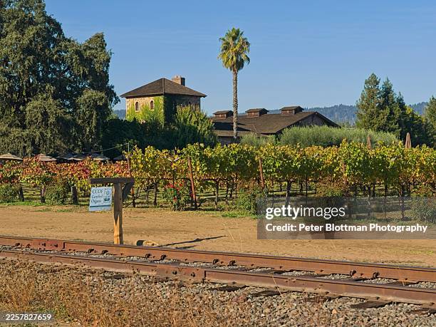 california certified organic sign and vineyard in napa valley - sonoma county stock pictures, royalty-free photos & images