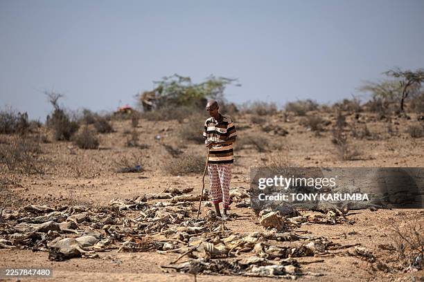 Bishar Maalim Mohammed stands among a cluster of goat carcasses outside his homestead in Jabi-bar village near Rhamu town, on January 21, 2026. In...