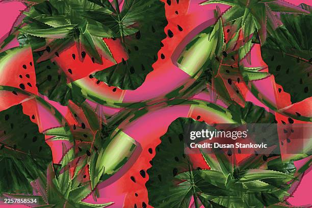 creative minimal summer concept 2026 - succulent overhead stock illustrations
