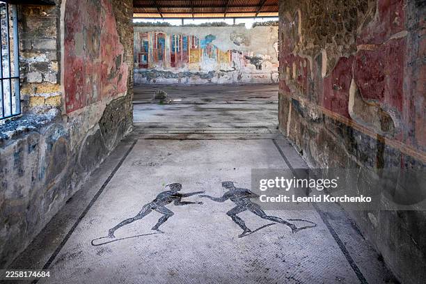 archaeological site of pompeii in italy - pompeii mosaic stock pictures, royalty-free photos & images