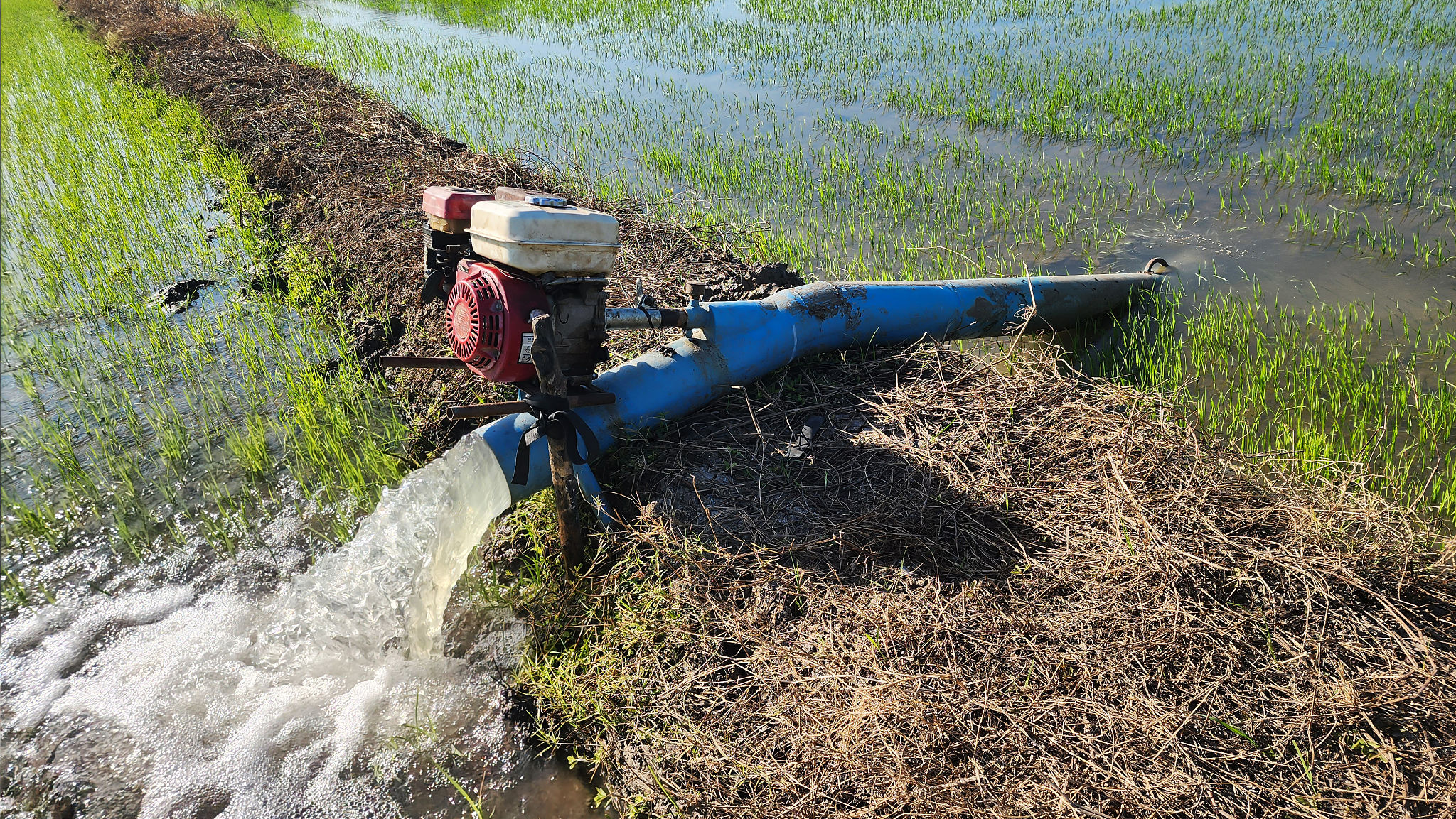 sustainable water management