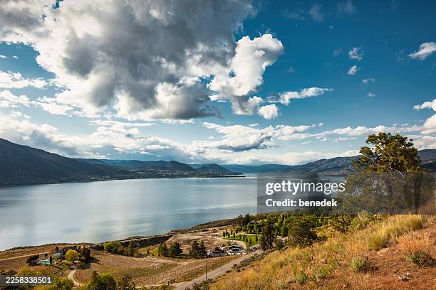 okanagan lake british columbia canada - kelowna stock pictures, royalty-free photos & images