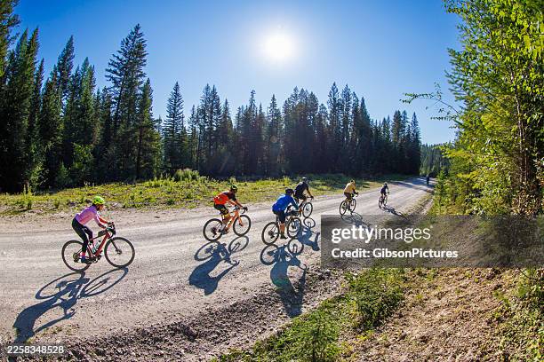 sunny day gravel road bike race - road cycling stock pictures, royalty-free photos & images