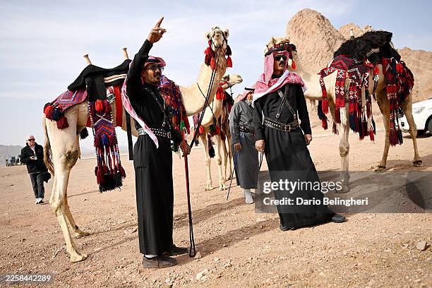 Alula Camel Ride 11 Photos & High Res Pictures - Getty Images