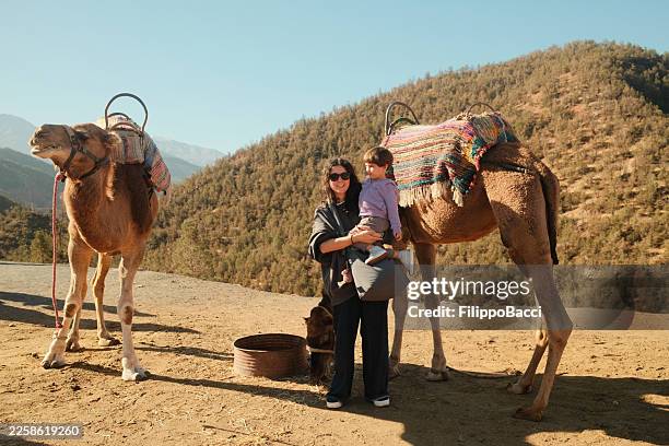 mother holding child near camel in atlas mountains - morocco stock pictures, royalty-free photos & images