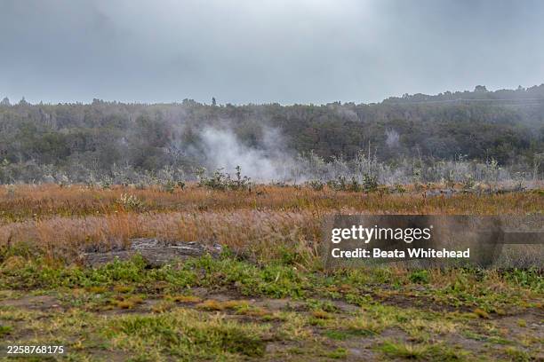 geothermal steam rising from volcanic ground at hawaiʻi volcanoes national park - groundwater stock pictures, royalty-free photos & images
