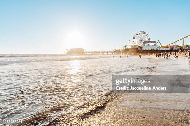 backlit shot on the beach in santa monica beach with the santa monica pier in the background - santa monica bildbanksfoton och bilder