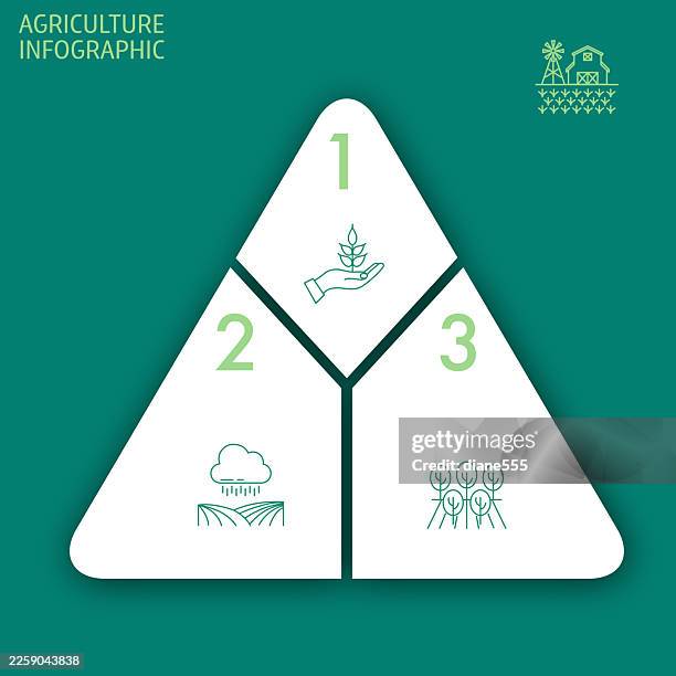 agriculture infographic with icons and copy space - hydroponic stock illustrations