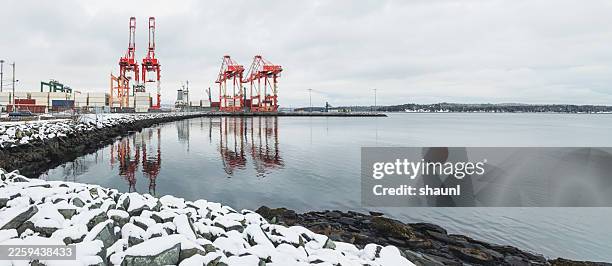 container terminal cranes - halifax winter stock pictures, royalty-free photos & images