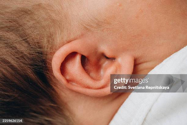newborn baby ear close-up showing delicate skin - inner ear stock pictures, royalty-free photos & images