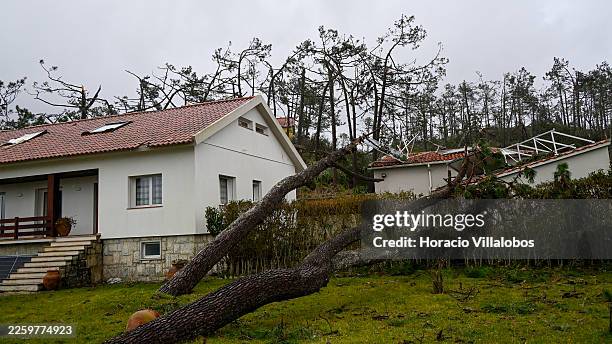 House suffers extensive damage caused by fallen trees due to strong winds in Vieira de Leiria as the country braces for depression Leonardo in the...