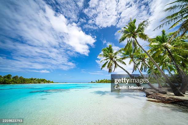 französisch-polynesien naturstrandparadies tuamoto-atoll - pazifikinseln stock-fotos und bilder