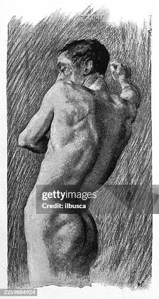 stockillustraties, clipart, cartoons en iconen met pencil drawing, by borough johnson - menselijke rug