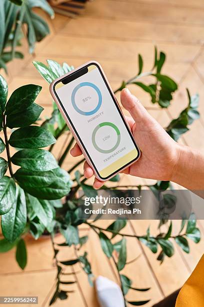 hand holding phone with humidity reading while standing among houseplants - humidity stock pictures, royalty-free photos & images
