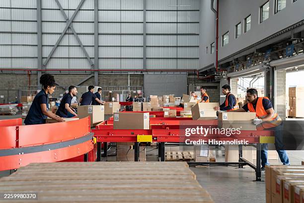 employees sorting boxes on the conveyor belt at a distribution warehouse - conveyor belt stock pictures, royalty-free photos & images