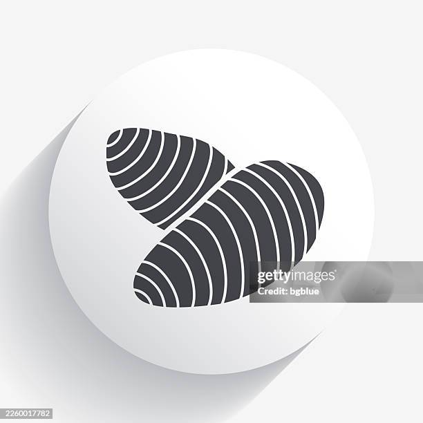 taro. icon on circle button with long shadow - cassava stock illustrations
