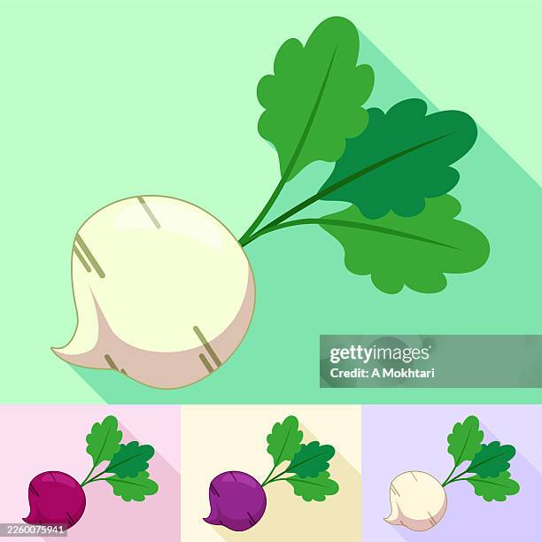 turnip icon. - turnip stock illustrations