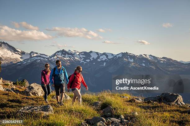 friends hike in alpine below glaciated mountains, whistler - red jacket stock pictures, royalty-free photos & images