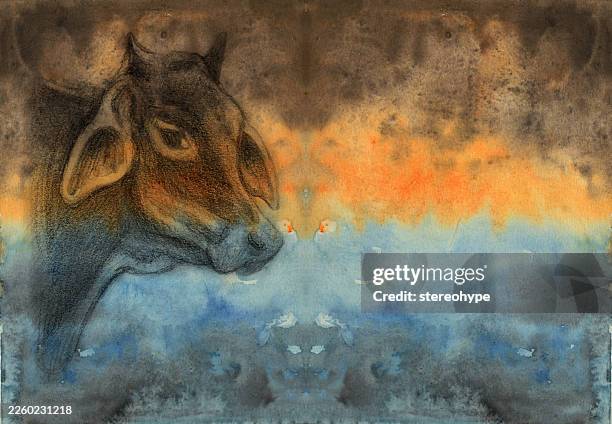 dark cattle - frozen meat stock illustrations